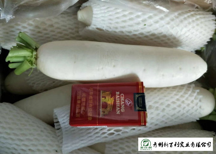 Organic Smooth Surface Fresh White Radish No Moldy Detoxification Function