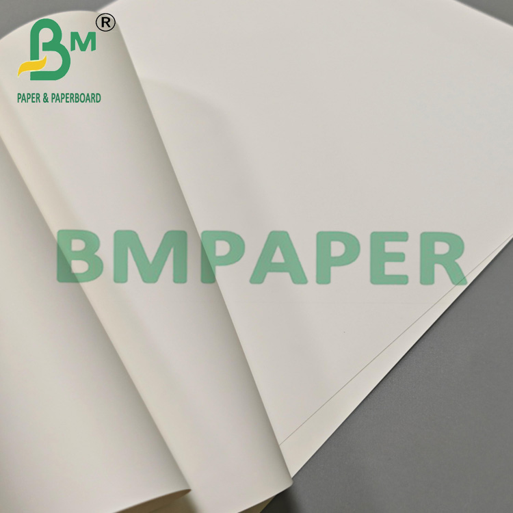 Multi Purpose 200um PET Film Paper For Export Packaging & Industrial Labels