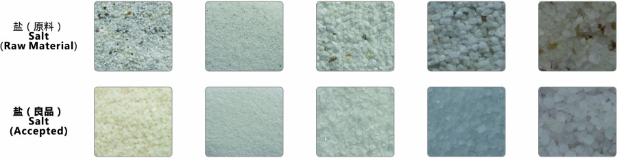 Color Sorter For Salt Stainless Steel Framework Salt Color Sorting Machine