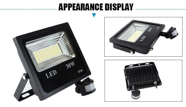 Waterproof Driver Motion Sensor Led Flood Light PIR 110lm/W 30W