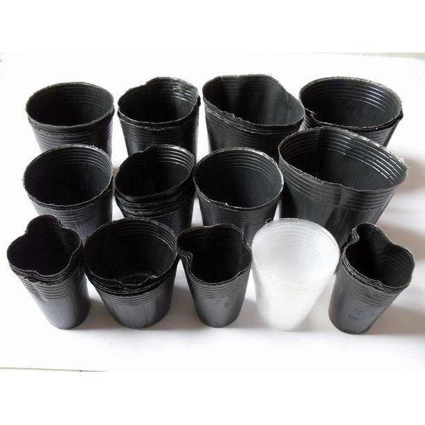 wholesale black plastic soft blister flower seeds pot for Garden supplies