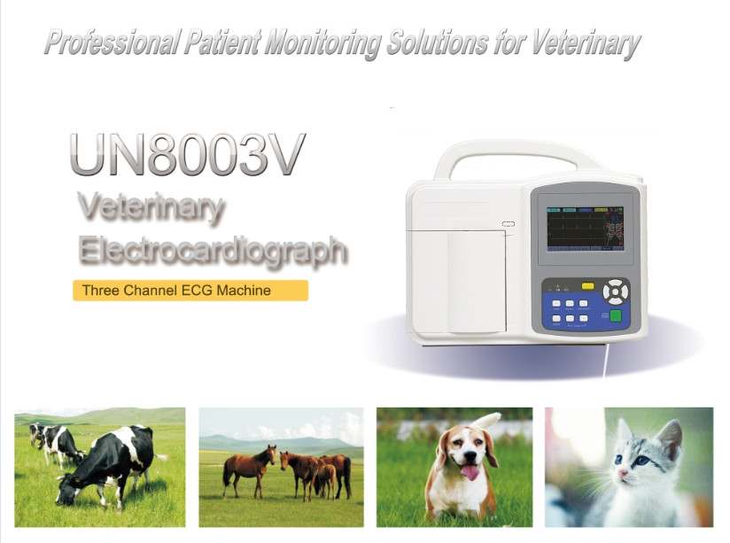 Multi-Channel Best 12 Leads Veterinary ECG Monitor with Interpretation UN8003V