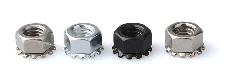 304 Stainless Steel K-nut American K Cap Multi-Tooth Flower Cap Nut Polished Finish