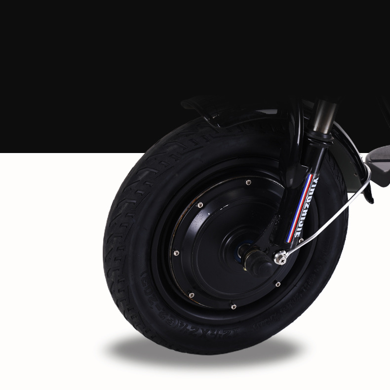 48V 300W Motor Power 12 Inch Electric Tricycle 3 Wheel Electric Bike for Adult Cargo