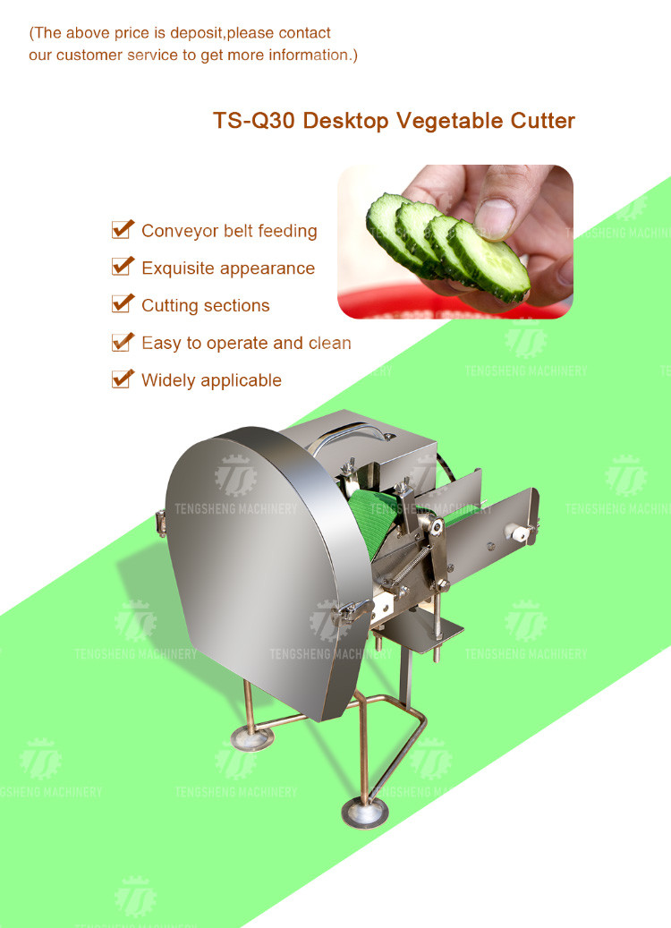 SS304 Vegetable Processing Machine Mini Electric Tabletop Onion Slicer Food Processor