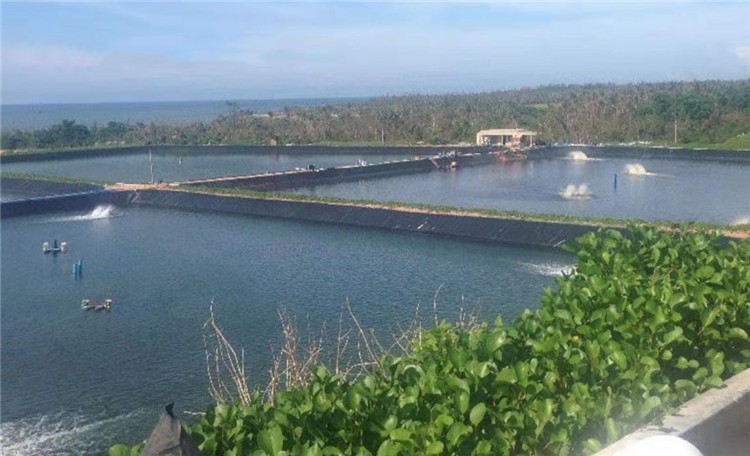 Geomembranes in Industrial Design Style for Easy Installation Pond and Dam Liners
