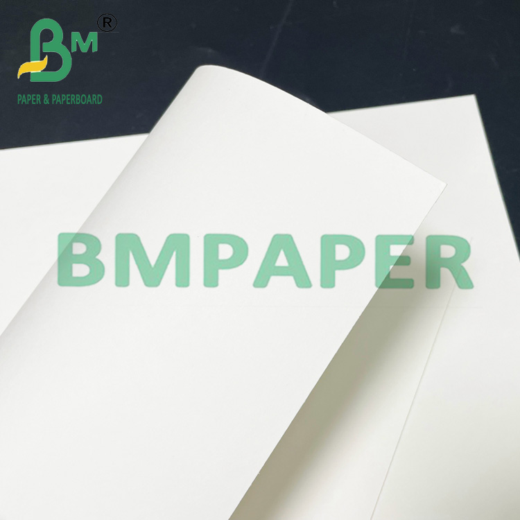 190gsm 200gsm 210gsm Food-safe Cupstock Paper Suitable For Hot Food