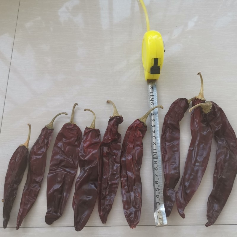 Whole / Stick 10-15cm Length Dried Guajillo Chili For Stews Uses