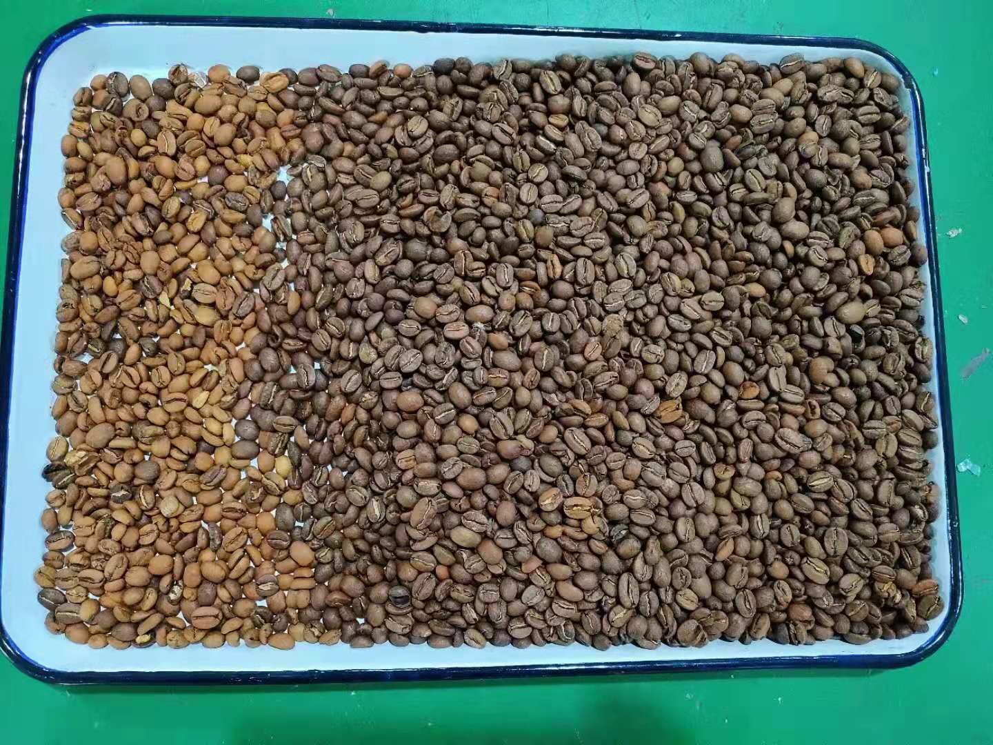 240V 50Hz Roasted Coffee Bean Sorting Machine high speed processing Chip
