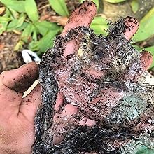 compost cling wrap