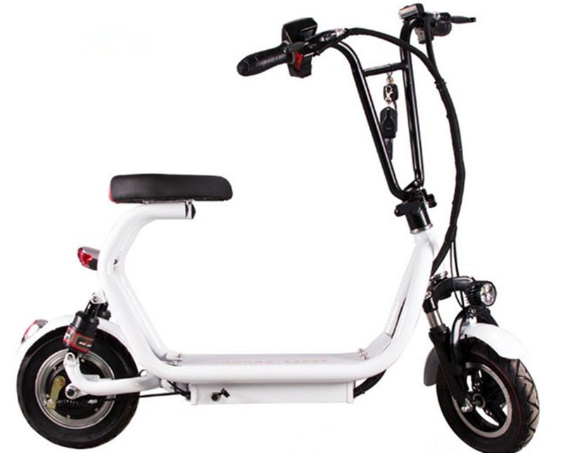 Max Speed 20-25km/h 350W Citycoco Bike for Fast and Convenient City Ride