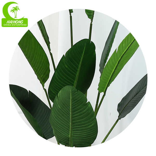 best office plants