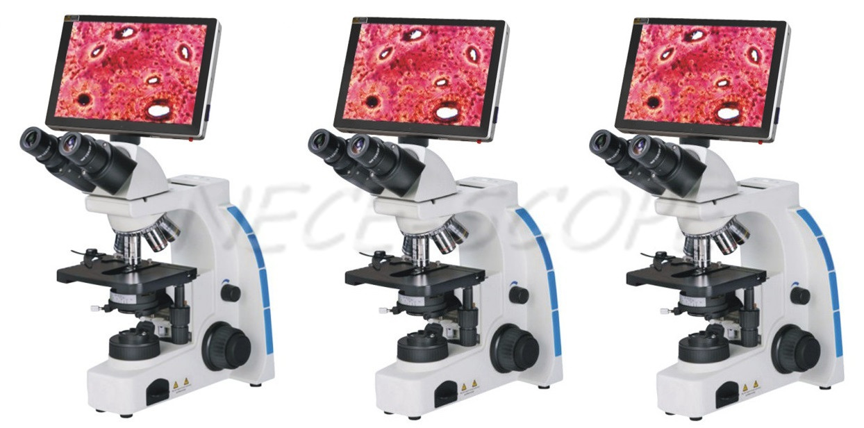 Digital Camera Biological LCD Screen Microscope 1000X With 9.7 Inch LCD