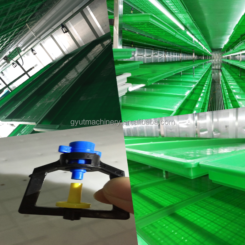 40FT Vertical Hydroponic Container Fodder Machine for Growing Sprouts Barley on Farms