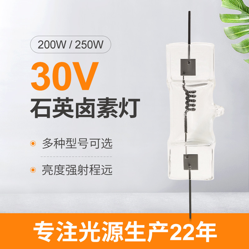 30V 200 Watt 250 Watt Double Ended Halogen Bulb Replacement
