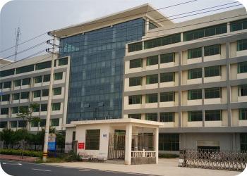 Dongyang Derun Glitter Material Co.,Ltd