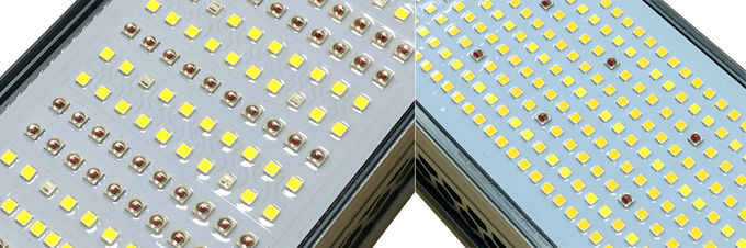 Greenhouse LED Grow Lights Efficient And Powerful Ip65 Commercial Indoor Plant Led Grow 1
