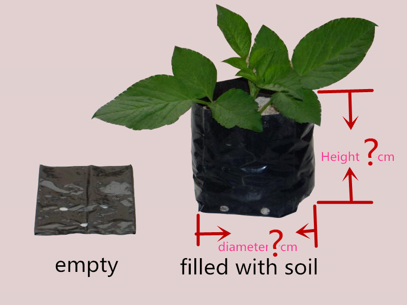 Blueberry 2 Gallon Thicken 7cm Plastic Plant Bags Seed Plastic Potting Bags