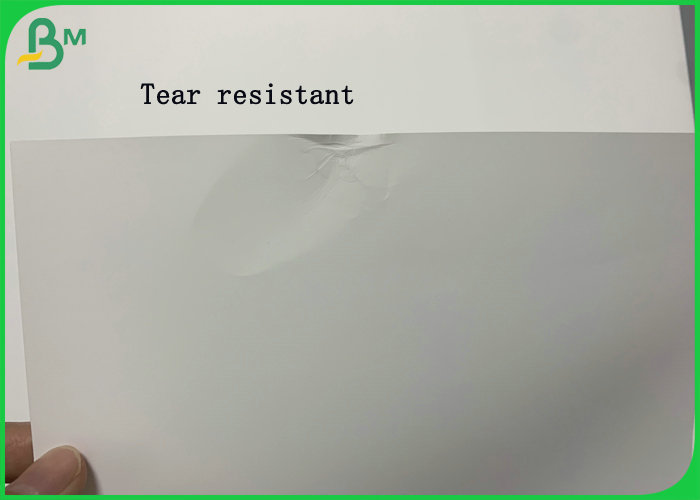 Glossy Waterproof 100μm PP Synthetic Paper For Making Jewelry Label 570 x 270mm