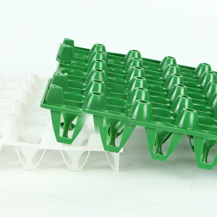 297mm Colorful Hard Yellow PET Plastic Blister Packaging 150g Plastic Egg Tray