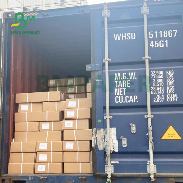 80gsm One Side Blue CAD Plotter Paper For Engineering 610mm X 150m