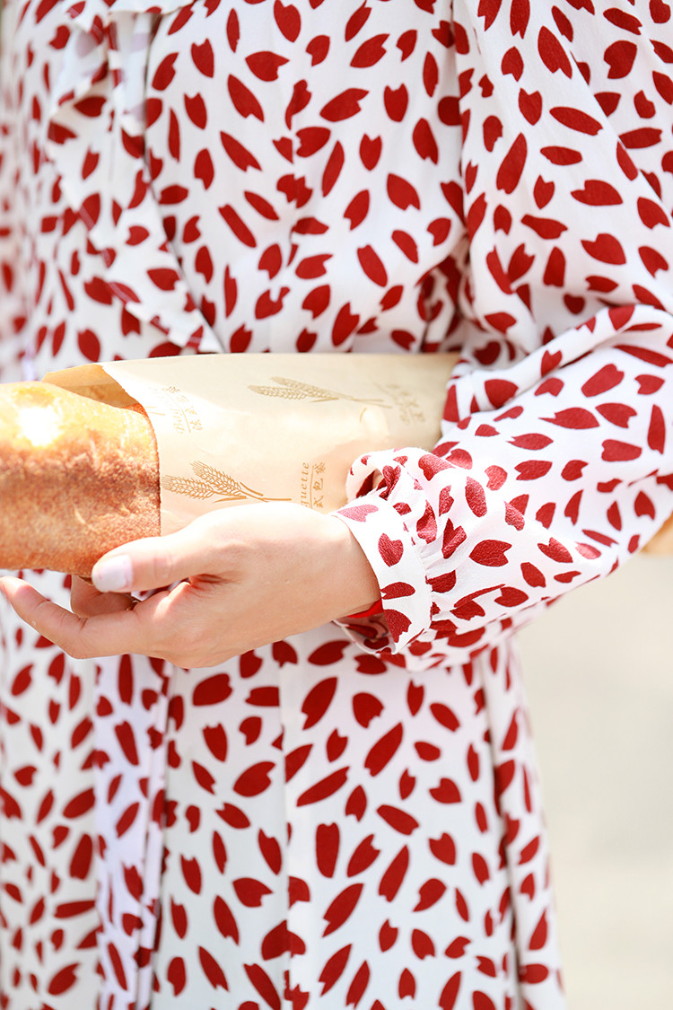 Summer V Neck Printed Women Chiffon Dresses Long Sleeve Chiffon Dress