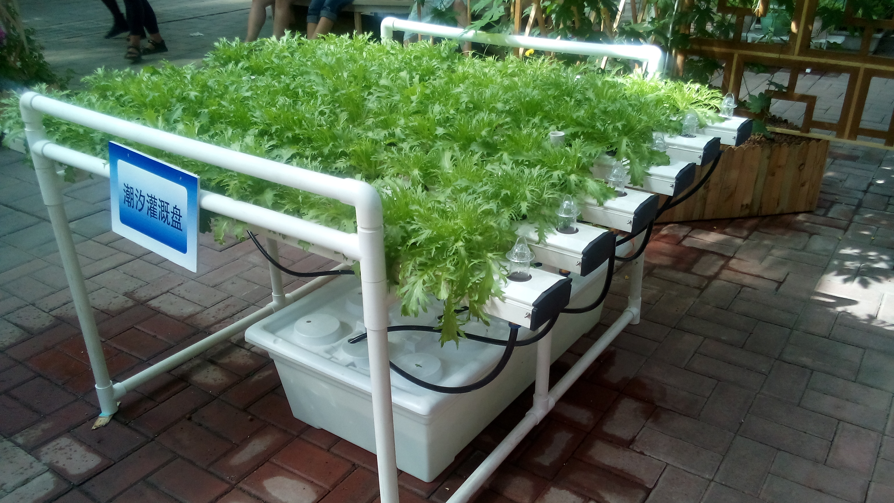 The Best Garden Vertical Hydroponics System NFT for Vegetable & Flower Growing