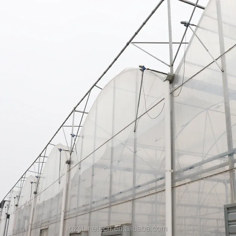 Hot Dip Galvanized Steel Tube Frame Multi Span Agricultural Greenhouse