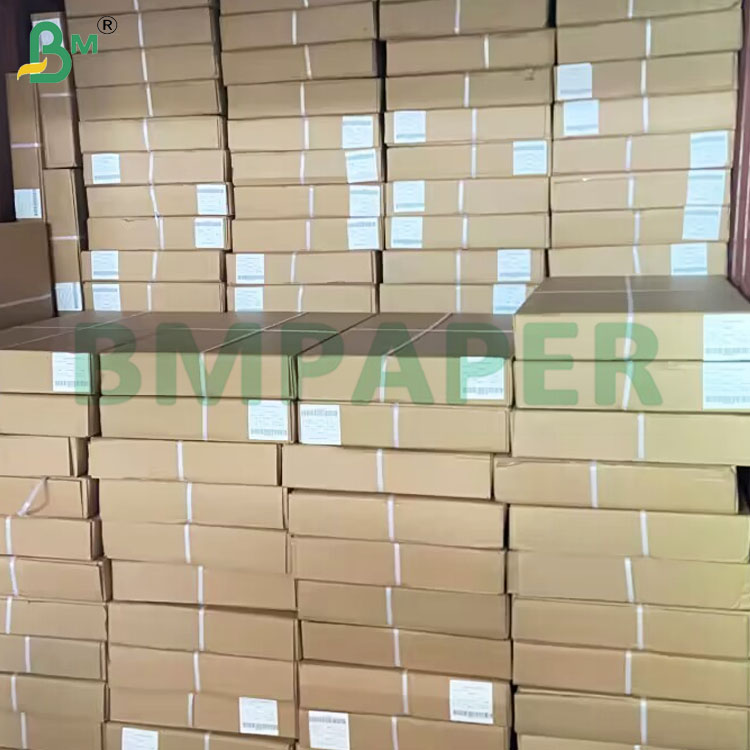 20lb Engineering High Precision Double Side Blue Plotter Paper Rolls