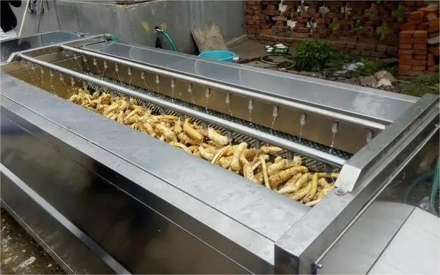 Efficient Mechanized Food Cleaning Machine Processing Of Vegetables And Fruits