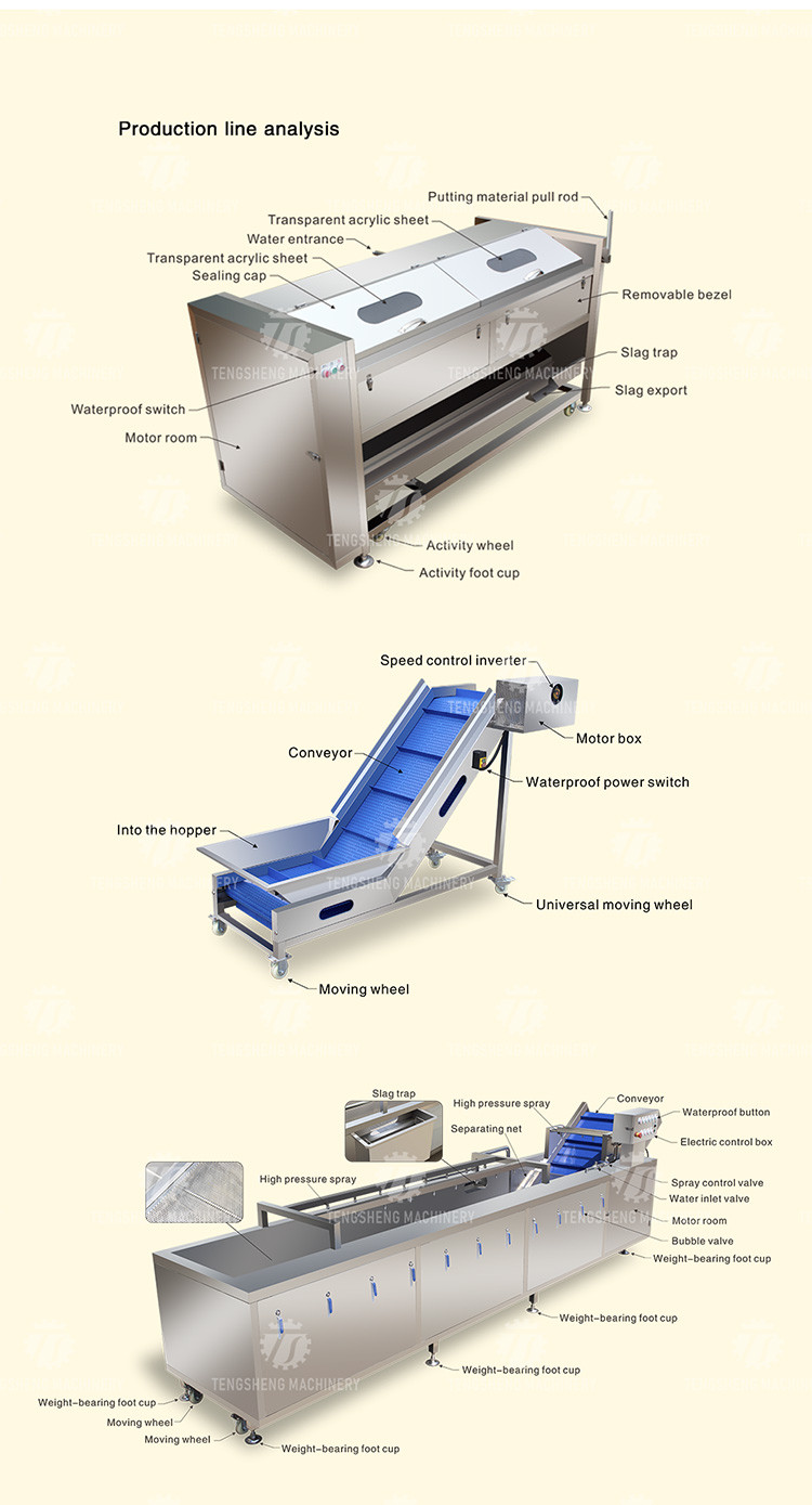 Vegetable Hair Roller Bubble Washing Selection Cutting Machine Production Line