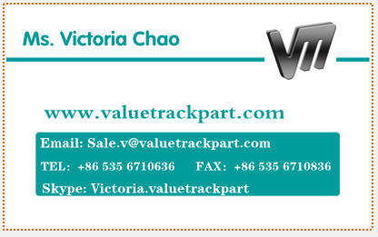 American Crawler Crane 5299 Drive Roller Chain