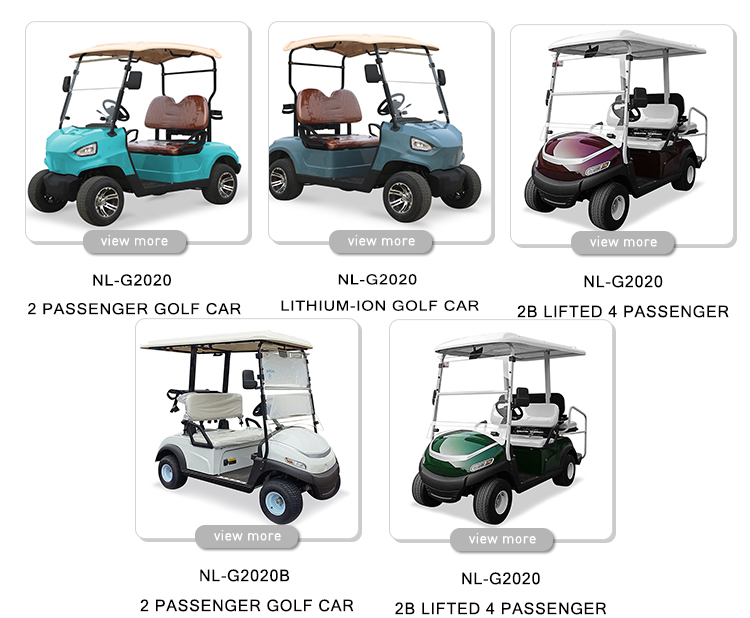 NL-G2020 48V 5KW Golf Cart Car 2 Passenger with Max. Speed 15.5mph 25khp and Tire Size 205/50-10 Tire diameter 18.1in 460mm