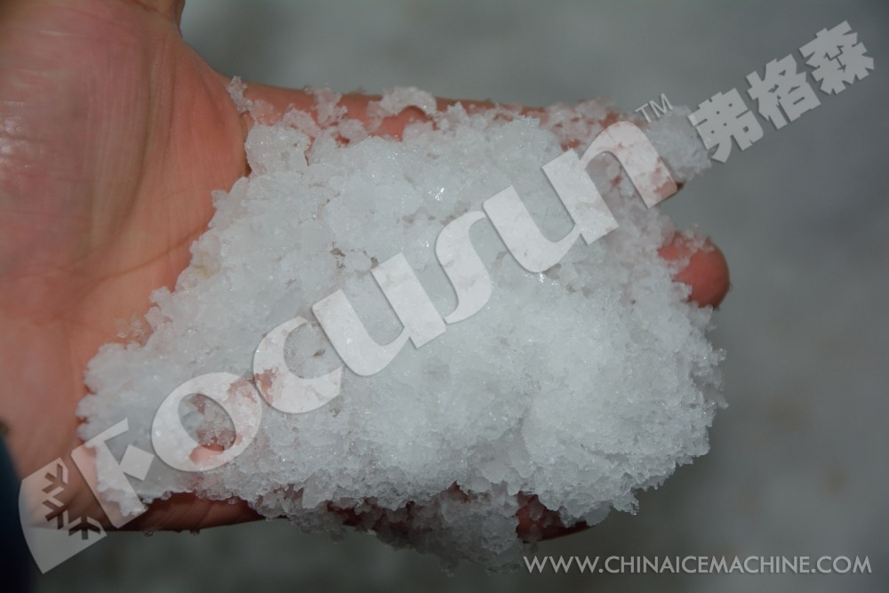 Long Service Life and Performance Ice Crushing Machine for Crushing Block Ice