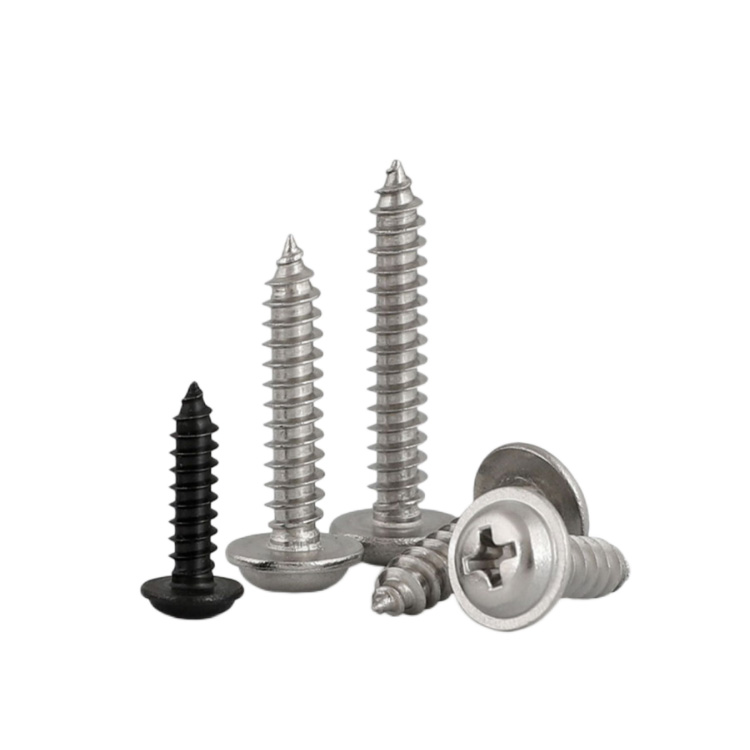 M2.5 Stainless Steel 304 Pan Head Self-Tapping Screw Din7981 for Sheet Metal- 6 8 10 12 Sizes