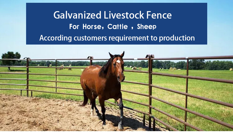 Q195 Q345 Galvanized Cattle Fencing GB DIN 1m-12m Galvanized Farm Fence