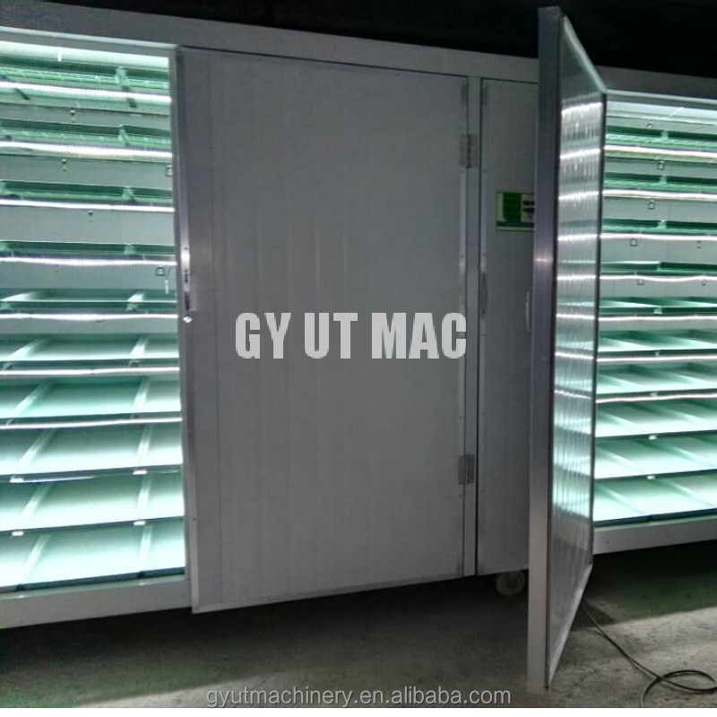 Hydroponic Hulless Barley Sprout Machines 3-4 Days Production Cycle 1.5 Tons Capacity