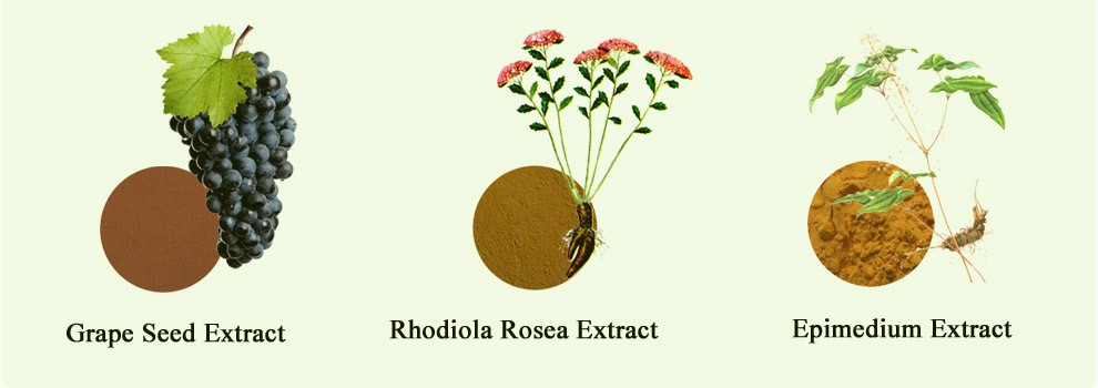 Factory Price Natural Cactus Extract for Medicine