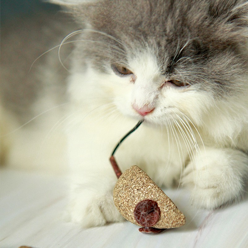 Mint Little Mouse Cat Fat Head Fish Cat Bite Molar Stick Cat Toy