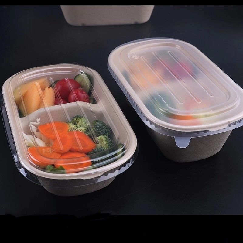 brown Biodegradable Sugarcane Tableware Sugarcane Bagasse Takeaway Containers