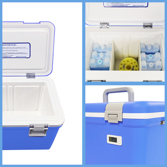 Best Insulin Cooler with PP Material and Blue Color for High-Performance Preservation