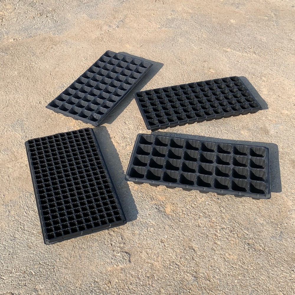high quality forest seedling tray