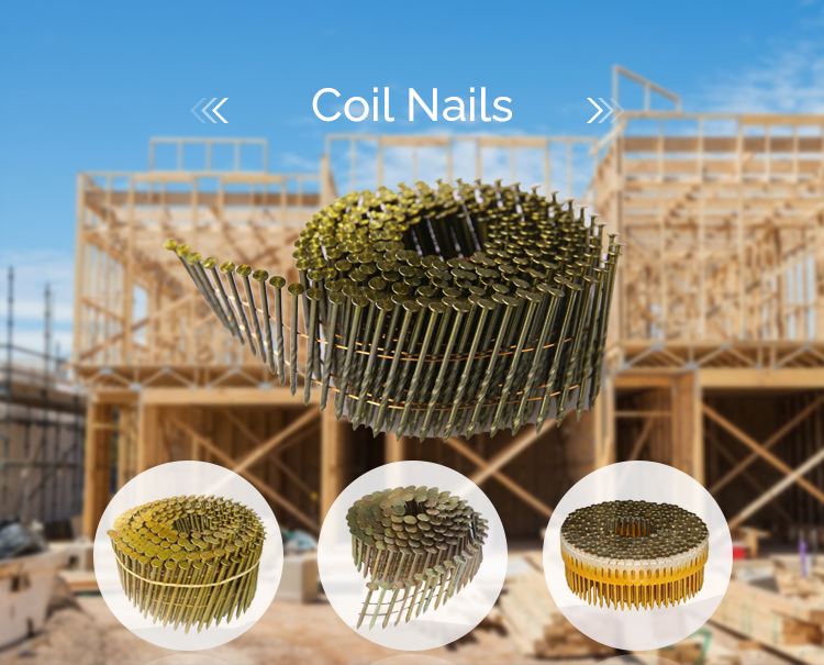 HN25C Hardened Stainless Steel Collated Nails With Dome Head