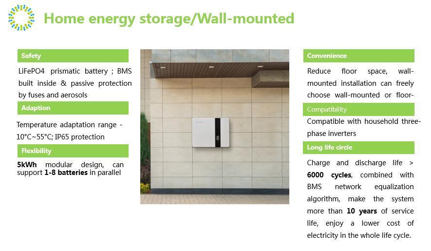 51.2V100ah Lithium Ion Li-ion LiFePO4 Solar Energy Storage Wall Mounted Rechargeable Battery