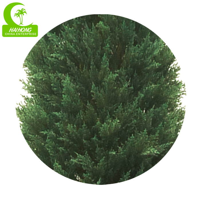 artificial topiary trees