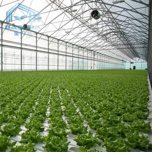 Buy cheap Aquaponis Growing Poly Tunnel Plastic Greenhouse For Agriculture product