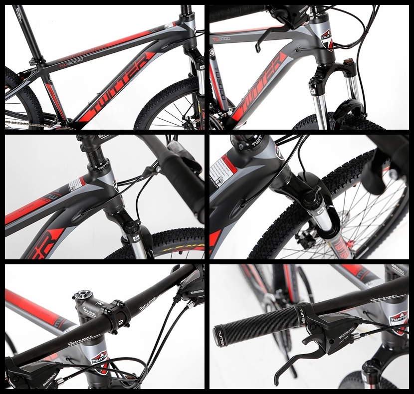 Lightweight Carbon Fiber Road Bike Road Racing Bicycle 24 Speed Gears CE