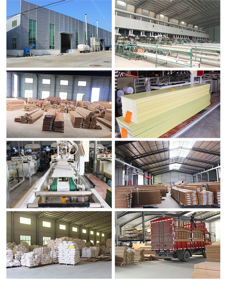 Wood Plastic Composite Decorative Wall Panels with High Class 3D WPC Cladding