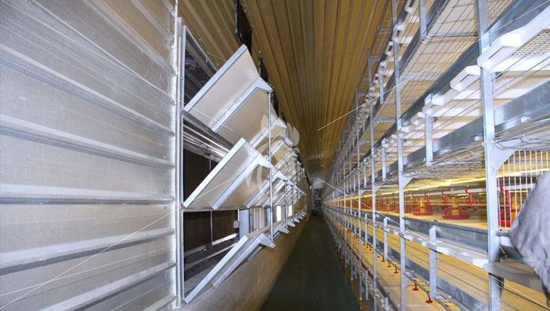 4000N Electric Linear Actuators 110-240VAC POT Power Supply Ventilation System Livestock Farming