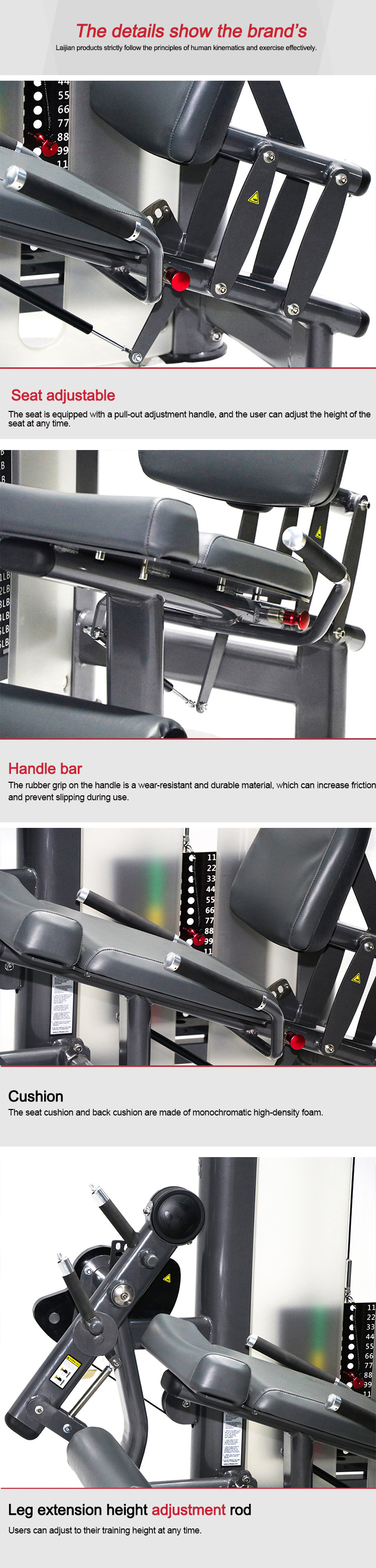 Gym Sports Life Fitness Strength Equipment / Seated Leg Extension Machine